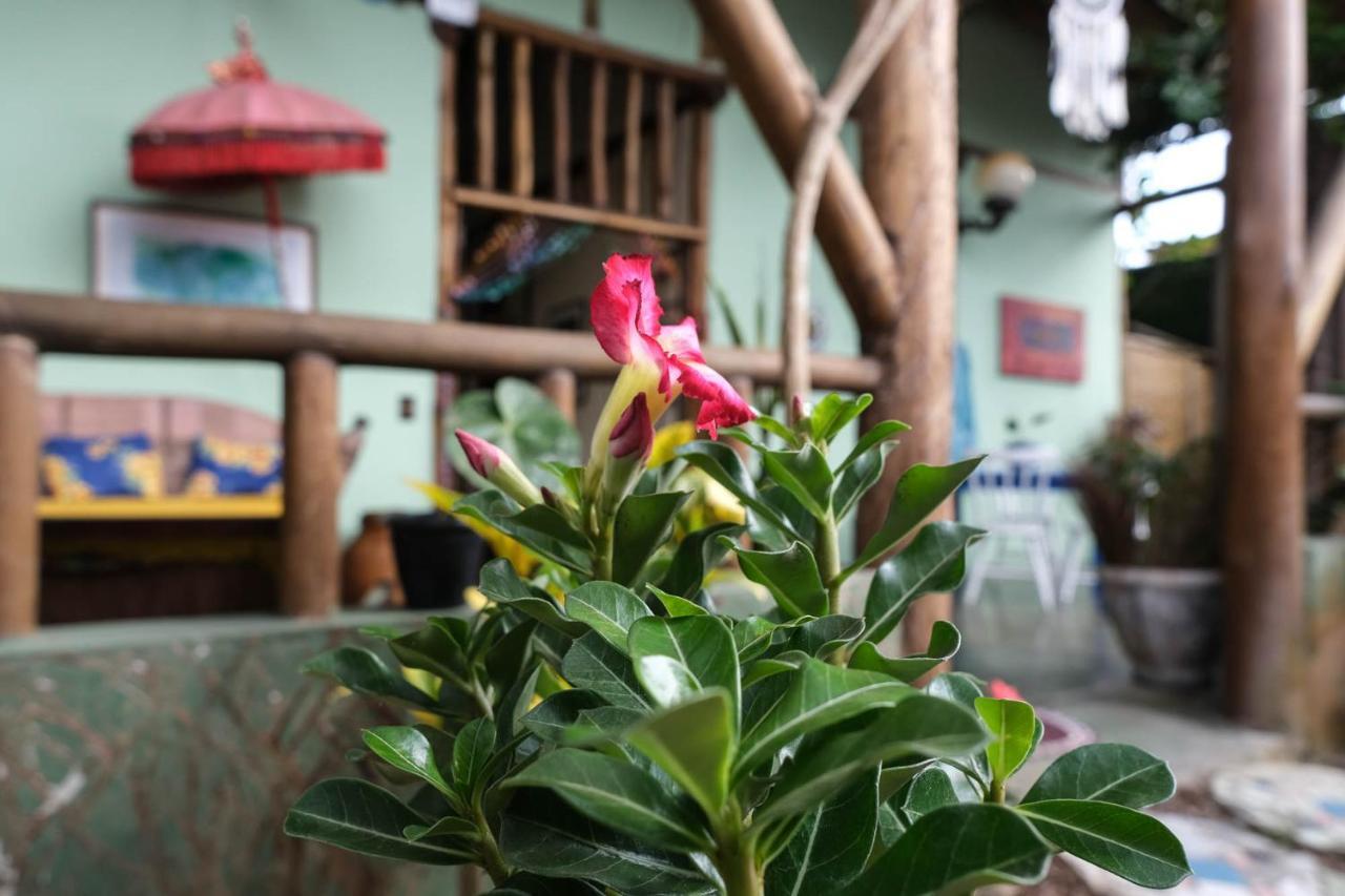Velinn Pousada Gaia Gardens Araquari Exterior foto